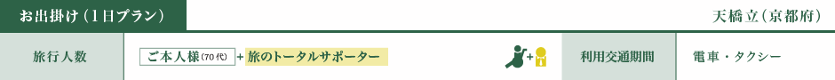 お出掛け（1日プラン）、天橋立（京都府）、ご本人様＋旅のトータルサポーター、電車・タクシー利用
